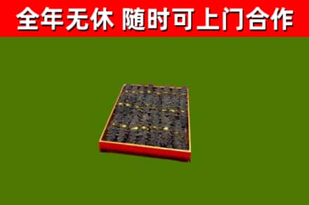 延津县回收海参